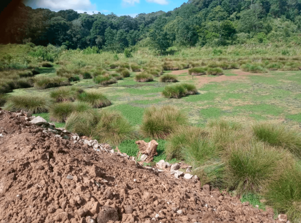 Crime Ambiental em área de captação é registrado na Policia de Garibaldi