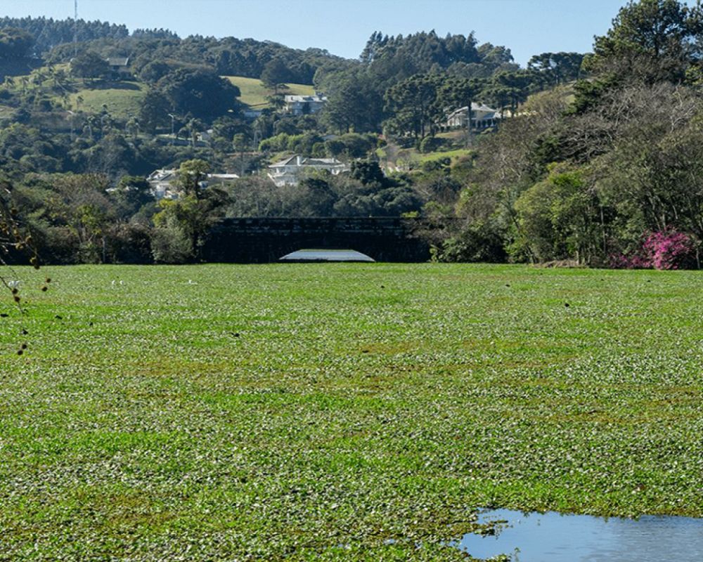 Testes mostram a presença de 14 agrotóxicos na água de Garibaldi