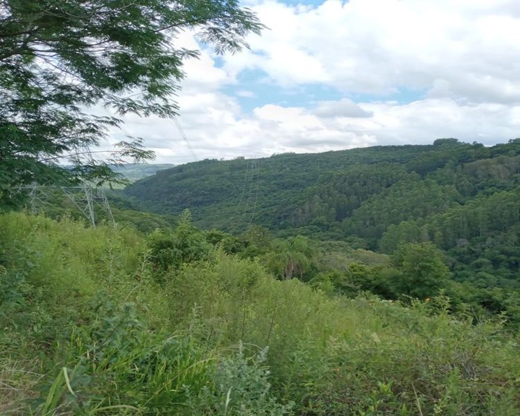 Vereadores de Carlos Barbosa sugerem construção de uma barragem na cidade